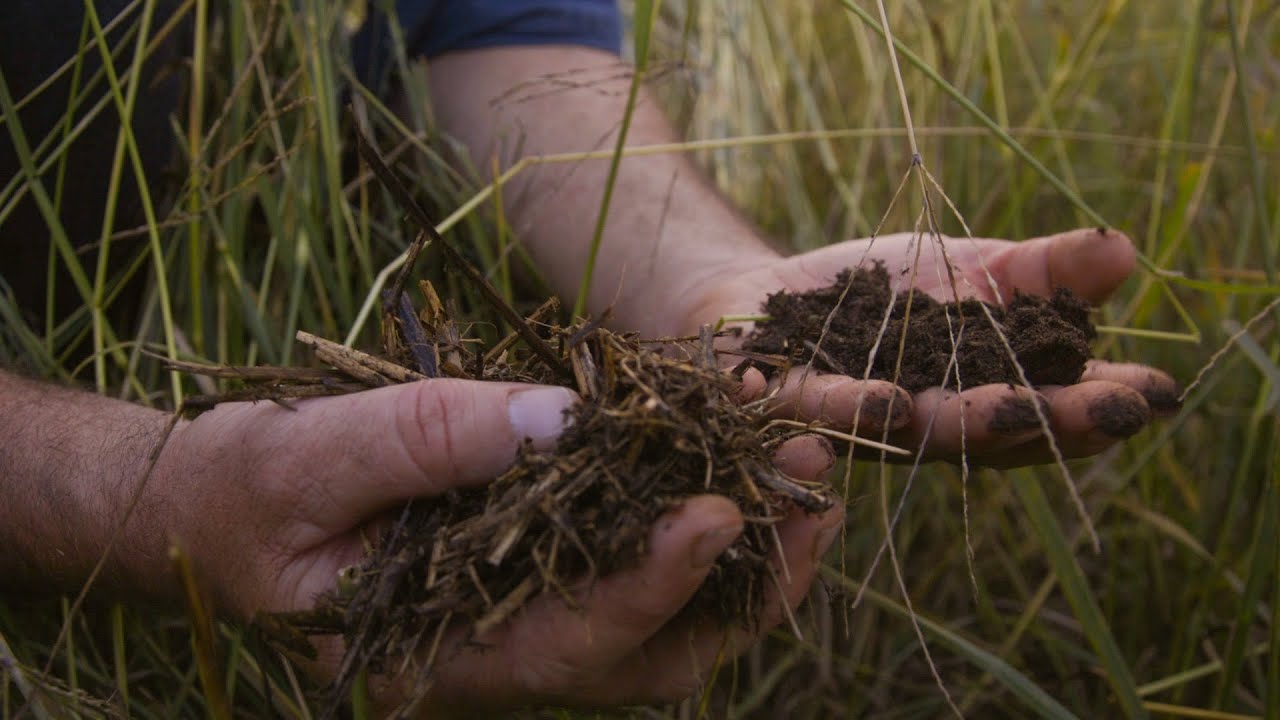 How Aussie Vegetable Growers Can Transform Crops With Commercial